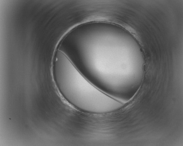 X0000072920904200607210903