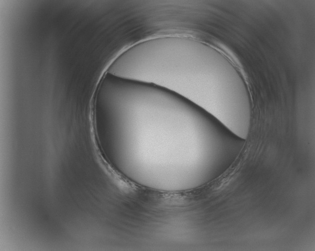 X0000072920907200607210903