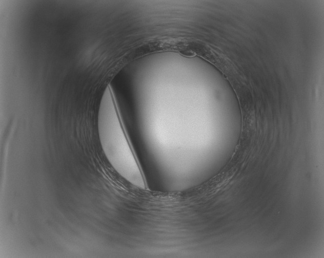 X0000072920914200607210902