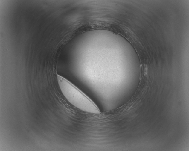 X0000072920915200607210902
