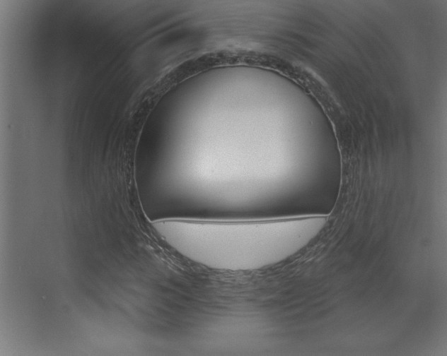 X0000072920919200607210902