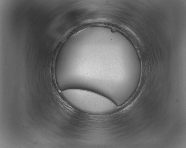 X0000072920921200607210902