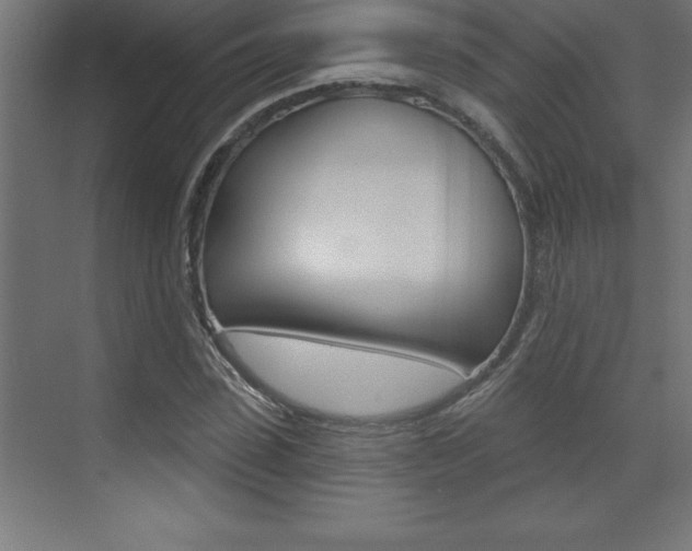 X0000072920923200607210902