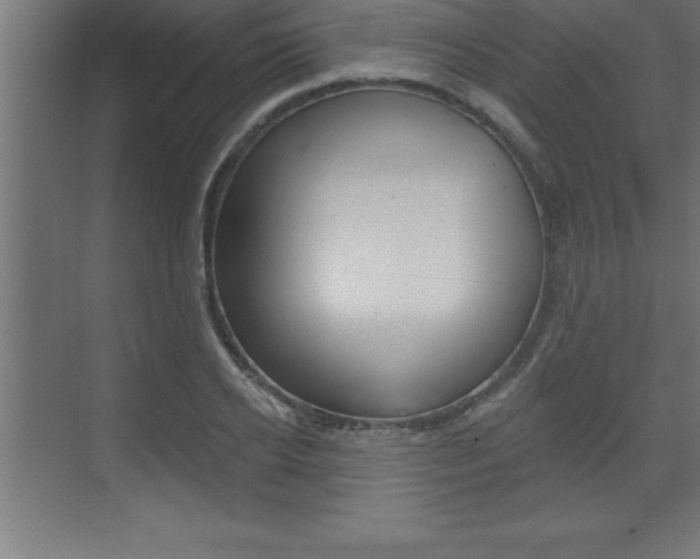 X0000072920934200607210902