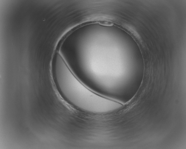 X0000072920936200607210902