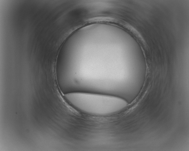 X0000072920937200607210902