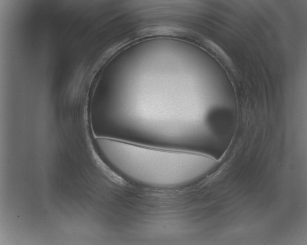 X0000072920938200607210902