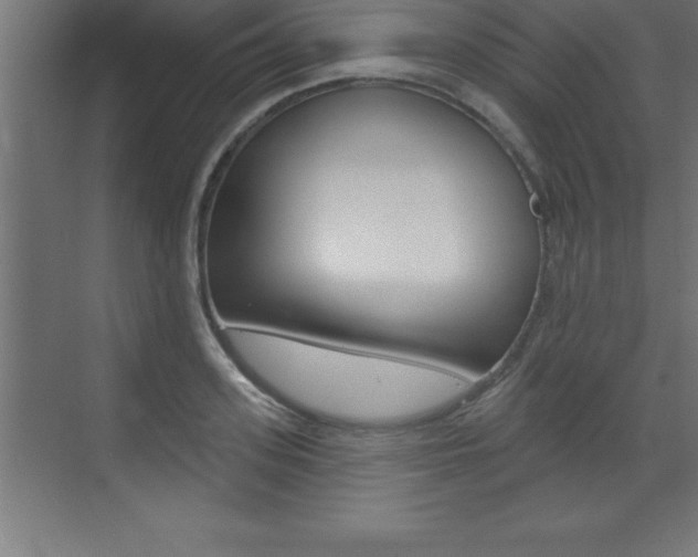 X0000072920939200607210902