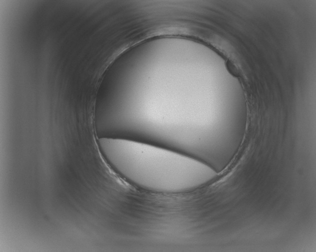 X0000072920945200607210903