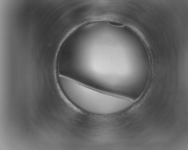 X0000072920949200607210903