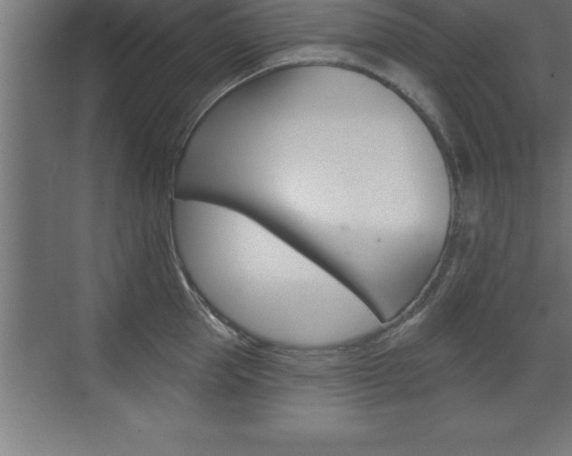 X0000072920953200607210903