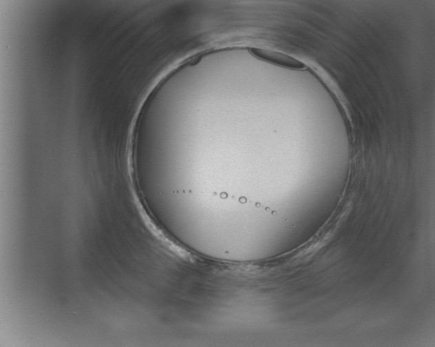 X0000072920957200607210903