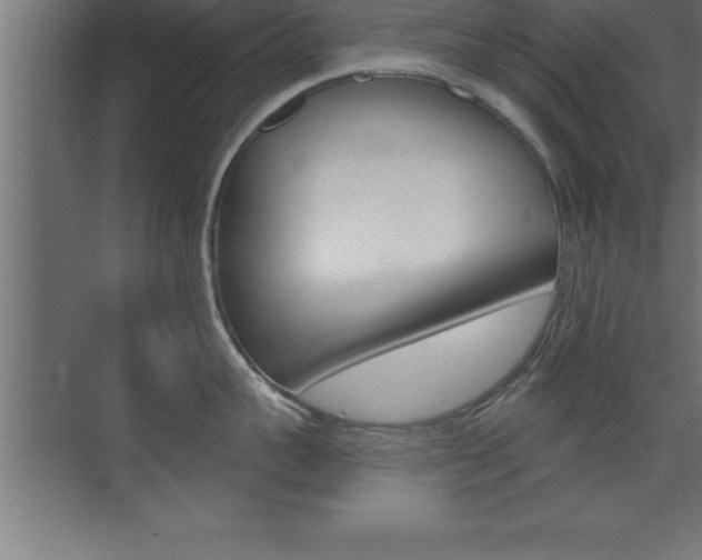 X0000072920959200607210903