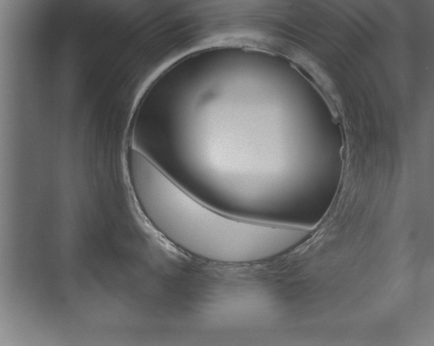 X0000072920960200607210903