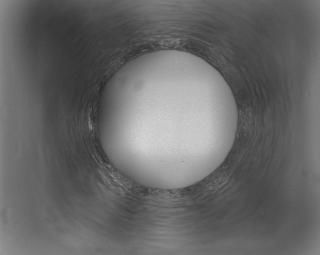 X0000072920962200607210902