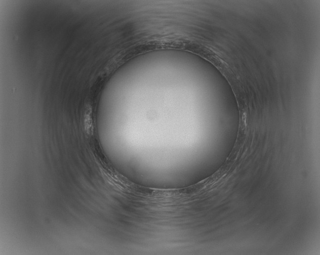 X0000072920963200607210902