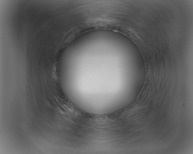 X0000072920964200607210902