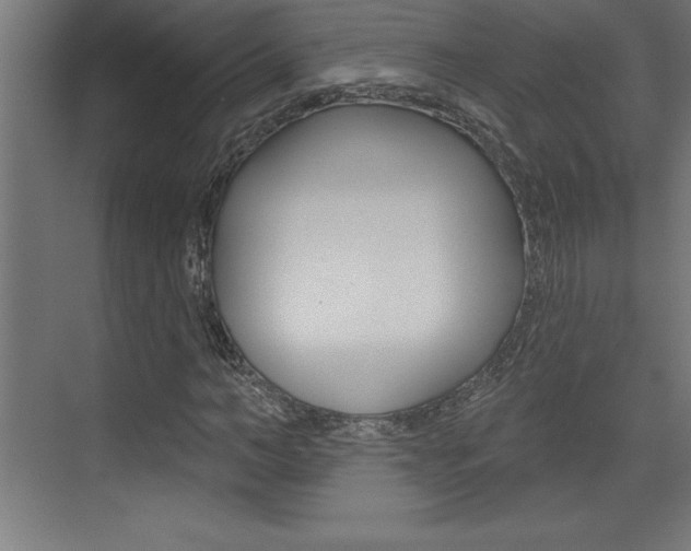 X0000072920966200607210902