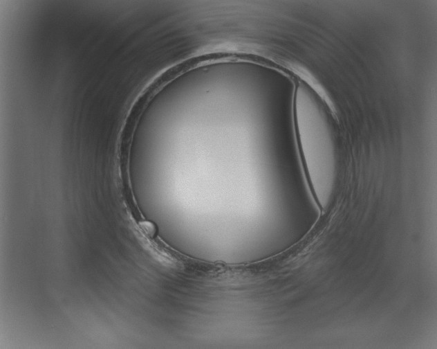 X0000072920972200607210902