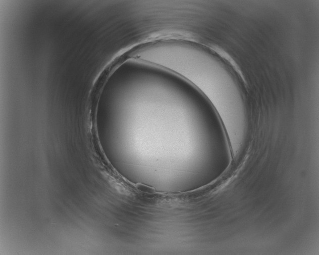 X0000072920973200607210902
