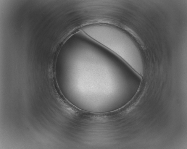 X0000072920977200607210902