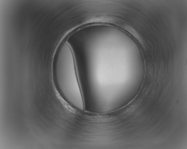 X0000072920980200607210902