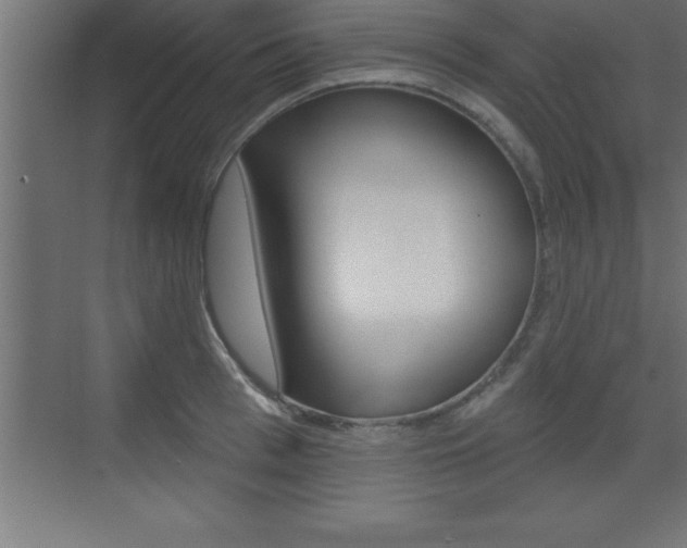 X0000072920993200607210901