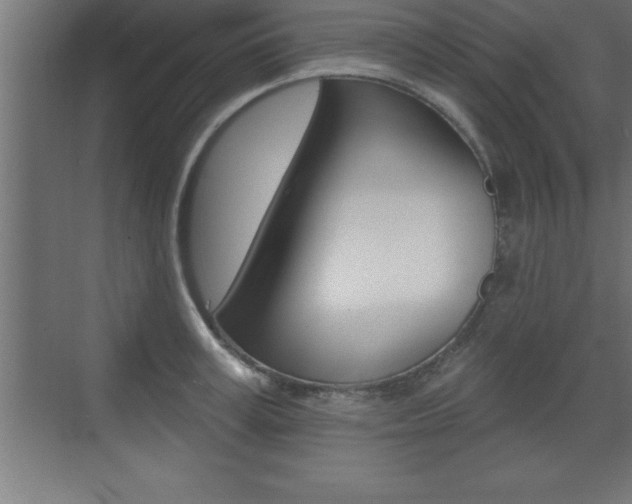 X0000072920995200607210901