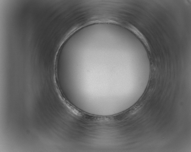 X0000072921002200607210901