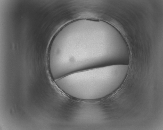 X0000072921008200607210901