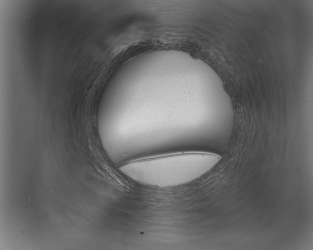 X0000072921009200607210900