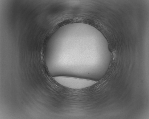 X0000072921011200607210900