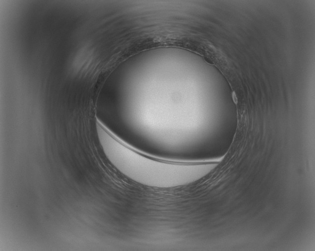 X0000072921012200607210900