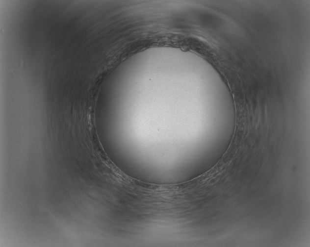 X0000072921013200607210900