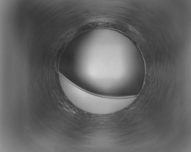 X0000072921014200607210900