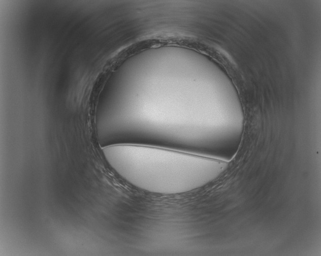 X0000072921016200607210900