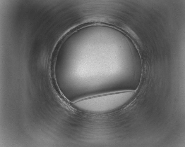 X0000072921020200607210901