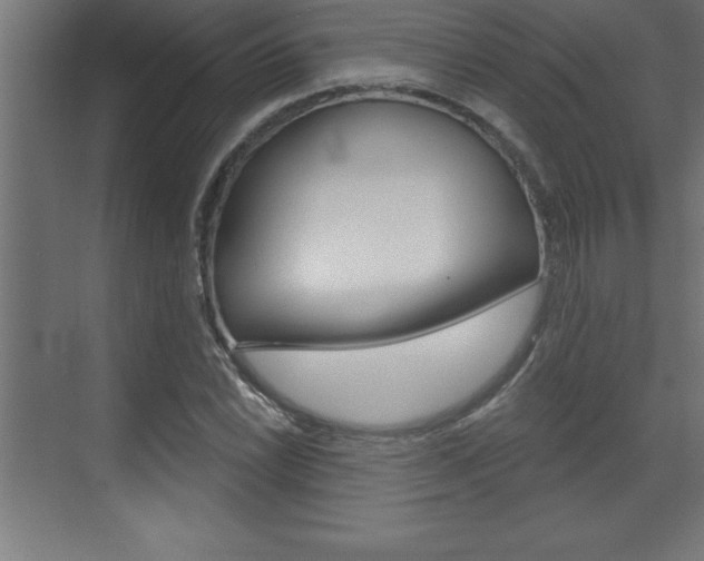 X0000072921022200607210901