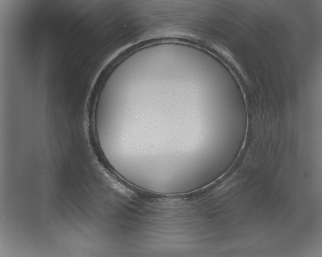 X0000072921024200607210901