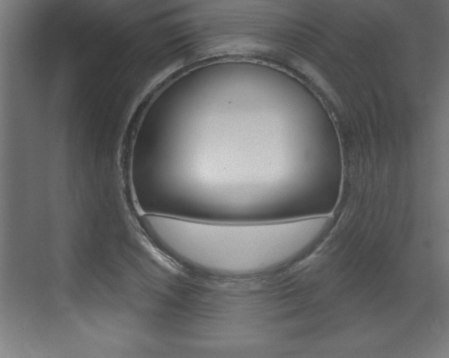X0000072921026200607210901