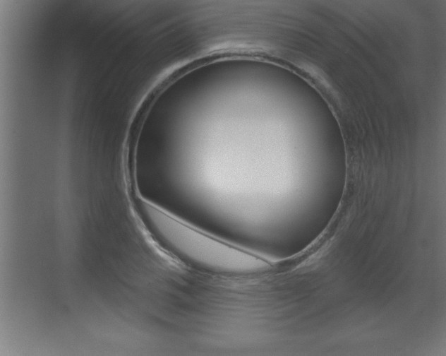 X0000072921030200607210901