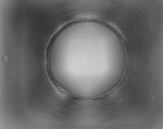 X0000072921031200607210901