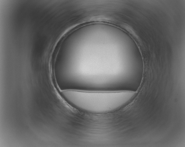 X0000072921032200607210901