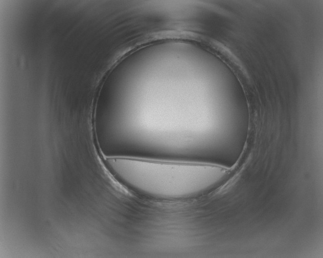 X0000072921033200607210901