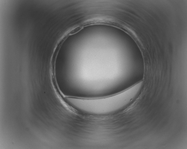 X0000072921034200607210901