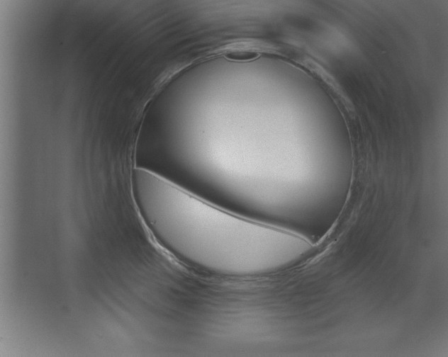 X0000072921049200607210901