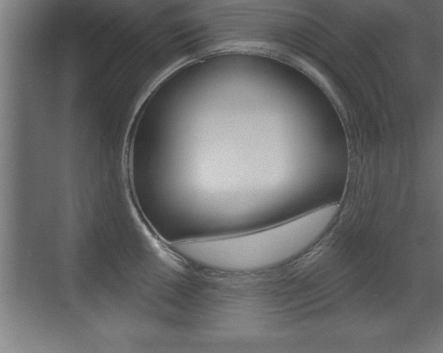 X0000072921050200607210901