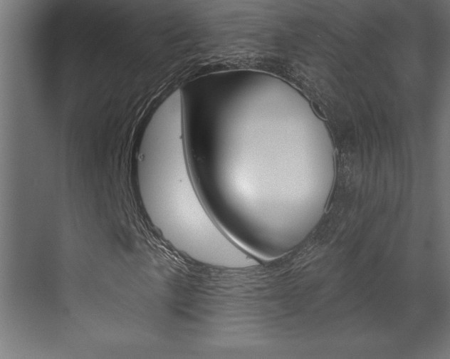 X0000072921057200607210900