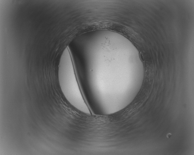 X0000072921058200607210900
