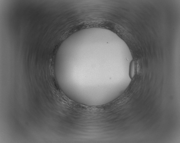 X0000072921059200607210900